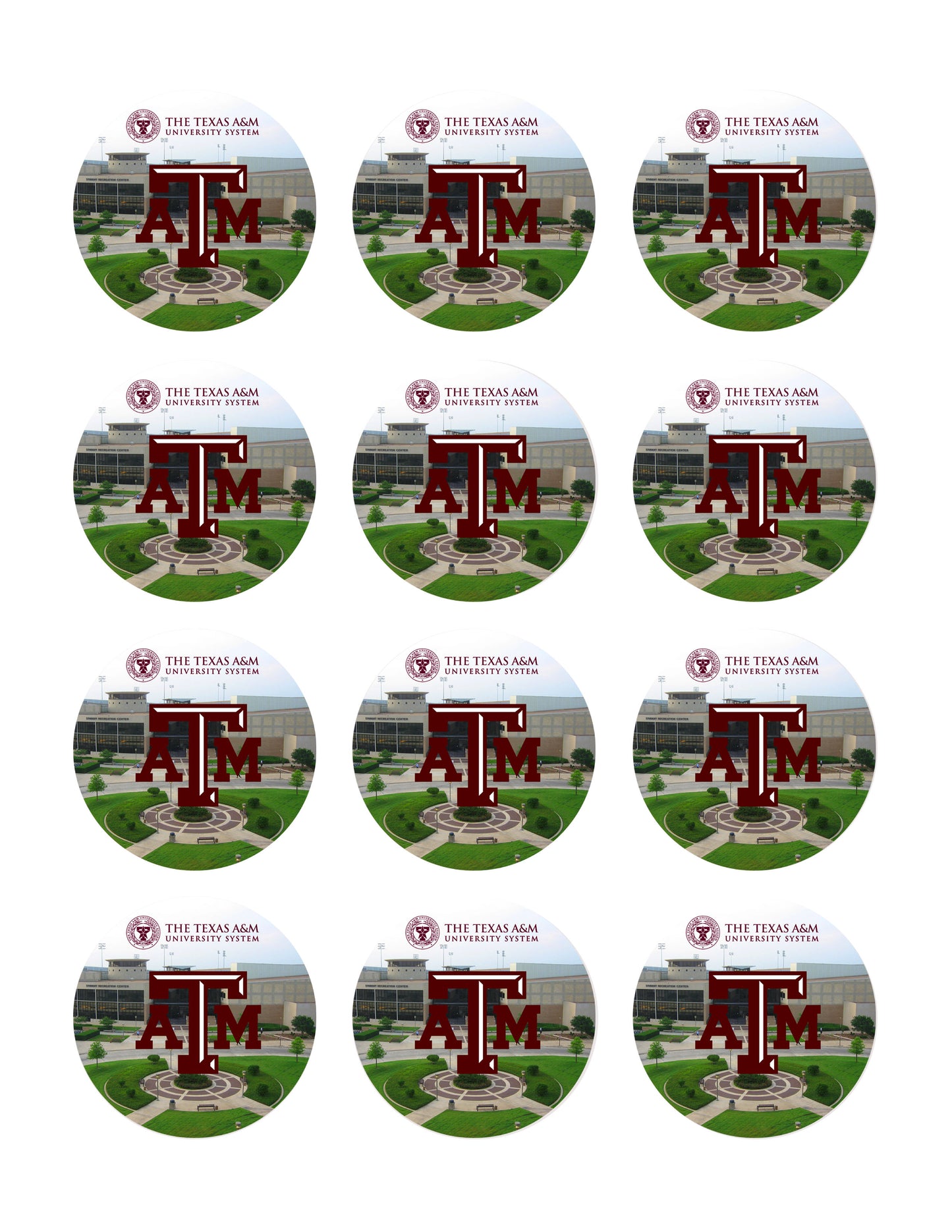 Texas A&M University (Nr2) - Edible Cake Topper OR Cupcake Topper, Decor