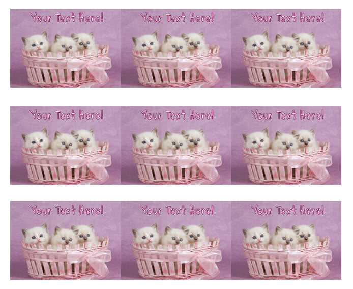 Cute Pretty Ragdoll Kittens - Edible Cake Topper, Cupcake Toppers, Strips