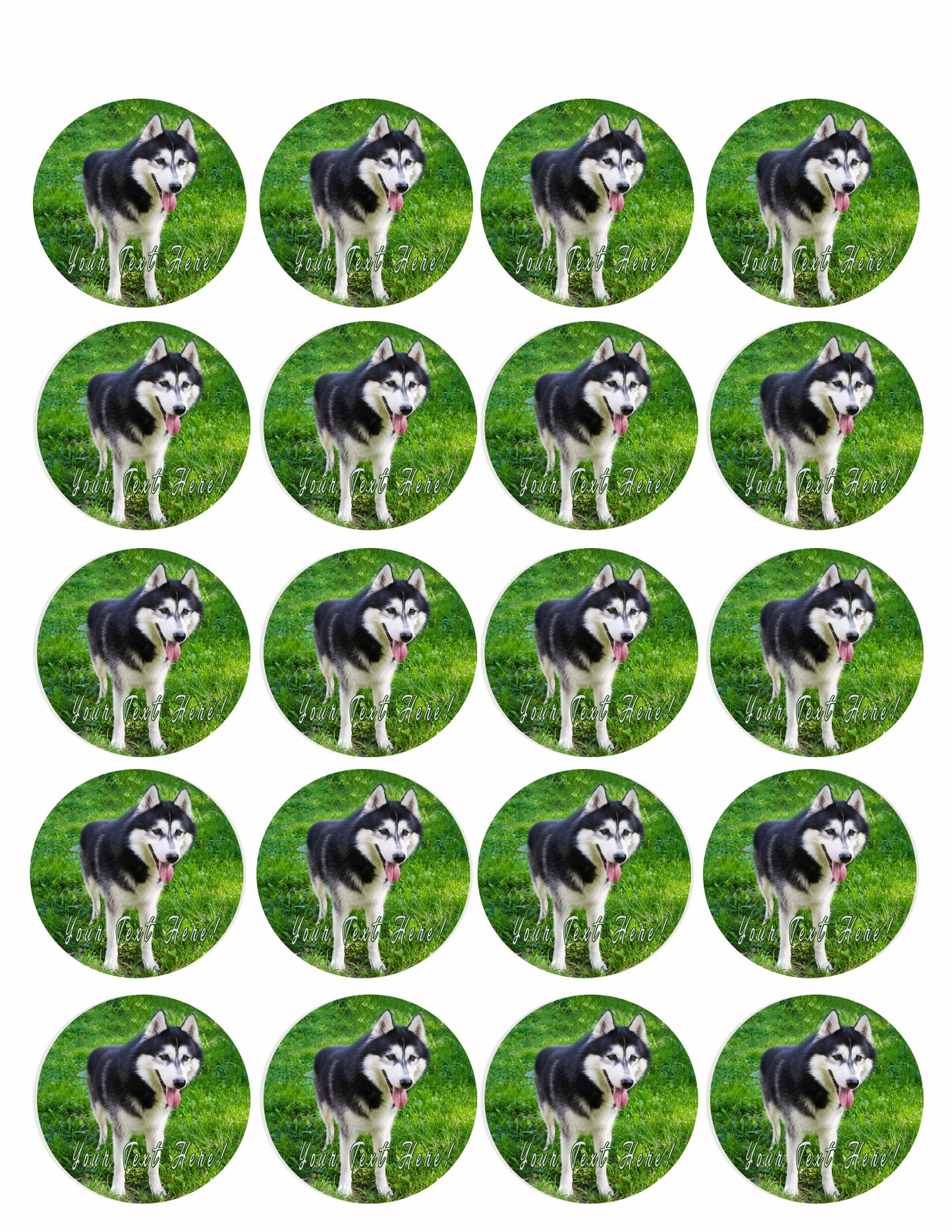 Husky Portrait - Edible Cake Topper, Cupcake Toppers, Strips