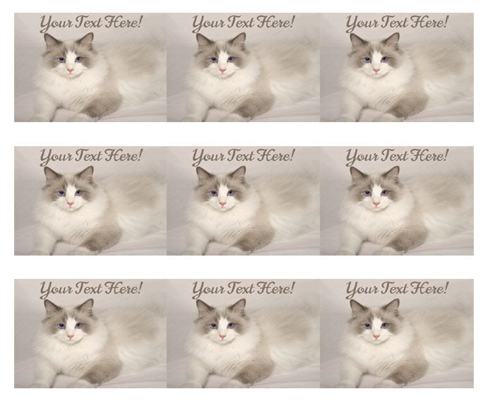 Rag Doll Cat - Edible Cake Topper, Cupcake Toppers, Strips