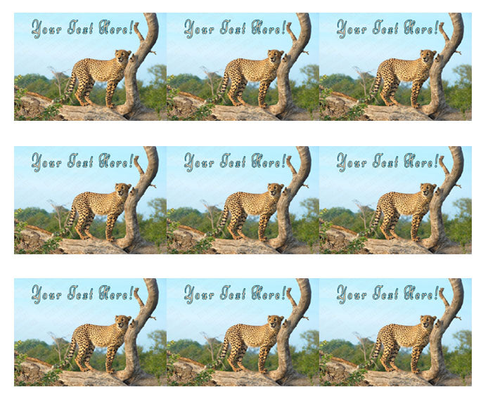 Roaming Cheetah, Safari, Wild - Edible Cake Topper, Cupcake Toppers, Strips