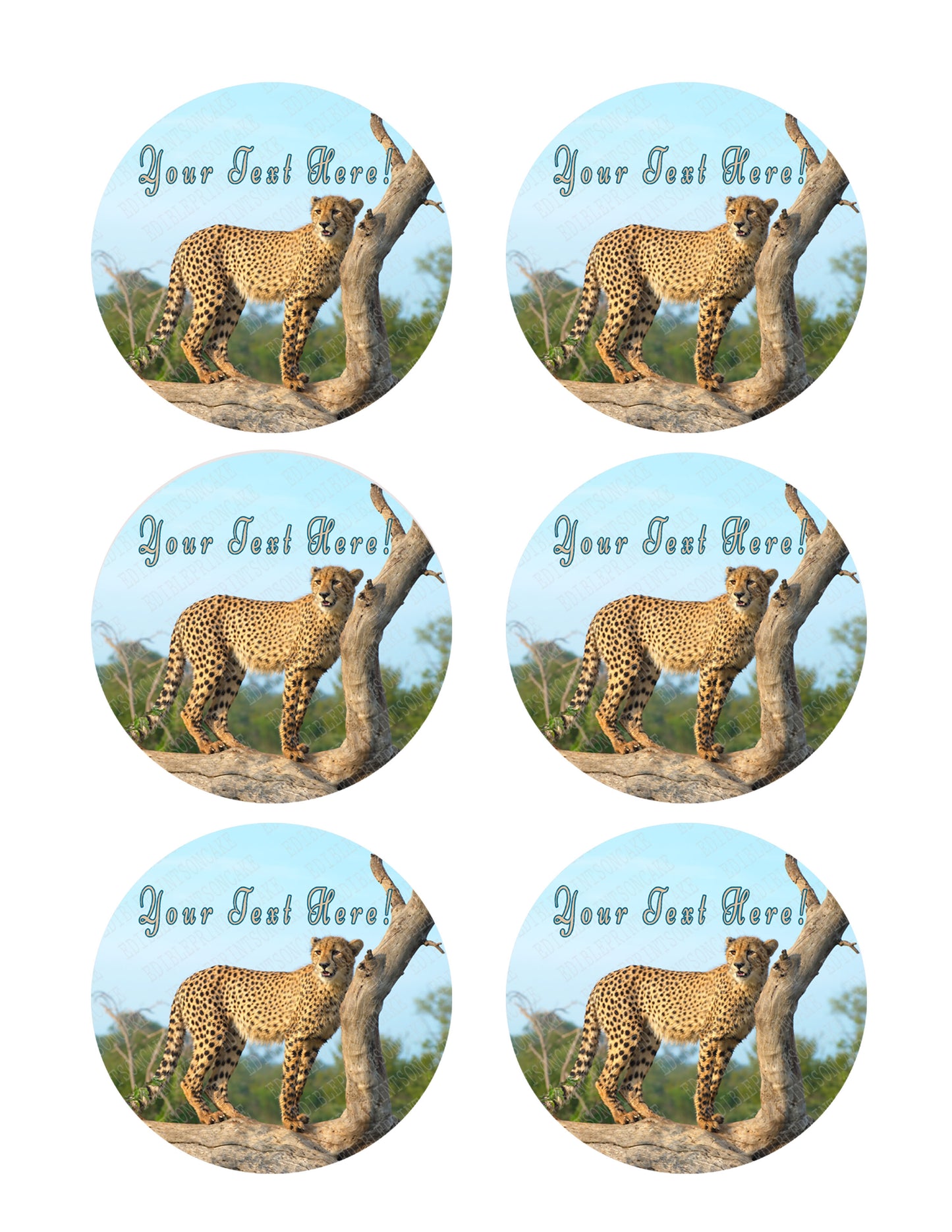 Roaming Cheetah, Safari, Wild - Edible Cake Topper, Cupcake Toppers, Strips
