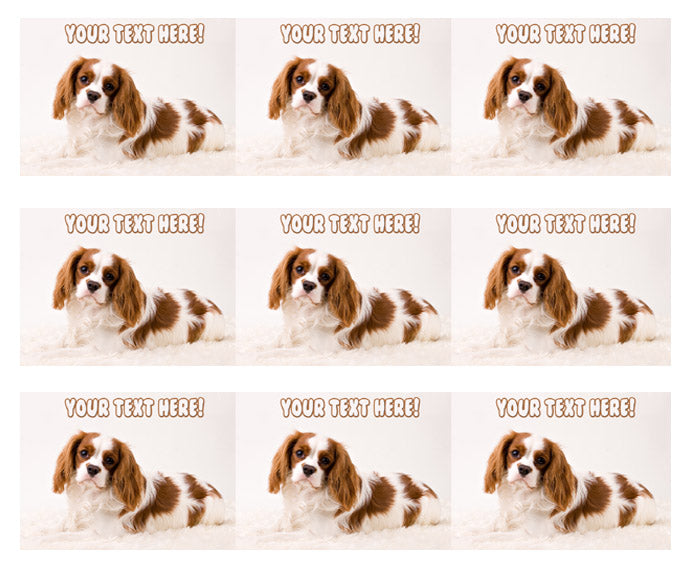 Puppy Studio Baby - Edible Cake Topper, Cupcake Toppers, Strips