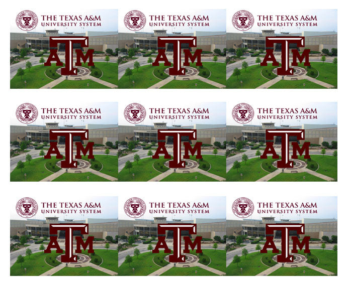Texas A&M University (Nr2) - Edible Cake Topper OR Cupcake Topper, Decor