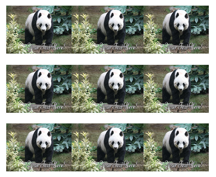 Beautiful Panda Bear - Edible Cake Topper, Cupcake Toppers, Strips