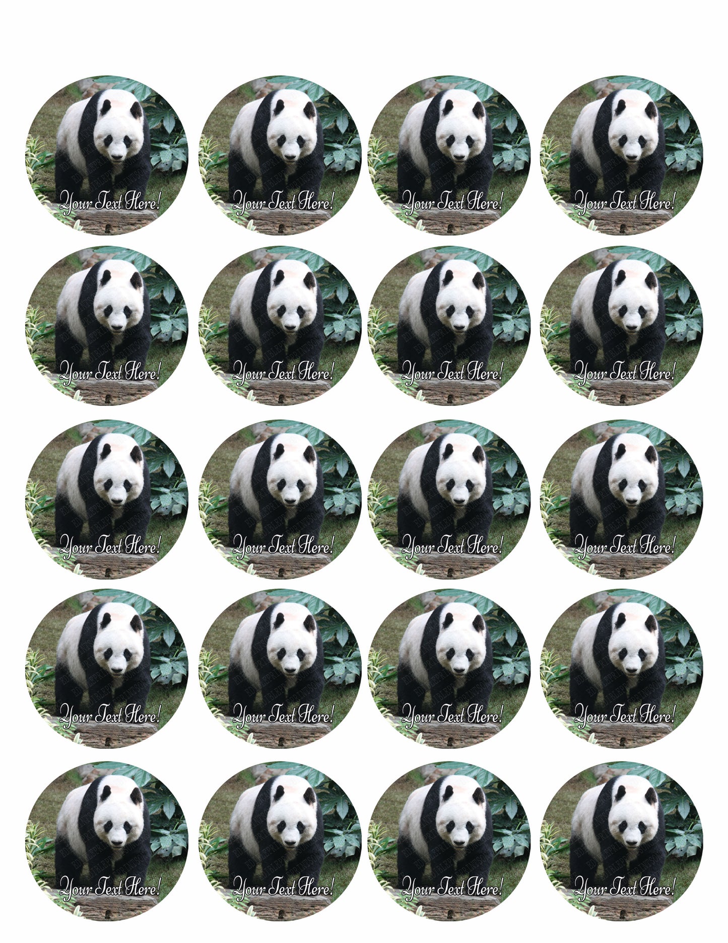 Beautiful Panda Bear - Edible Cake Topper, Cupcake Toppers, Strips