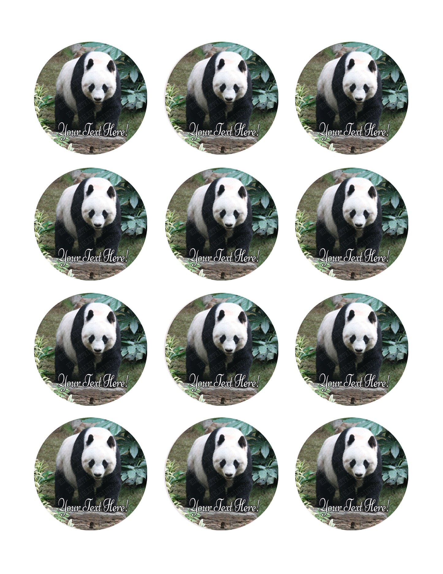 Beautiful Panda Bear - Edible Cake Topper, Cupcake Toppers, Strips