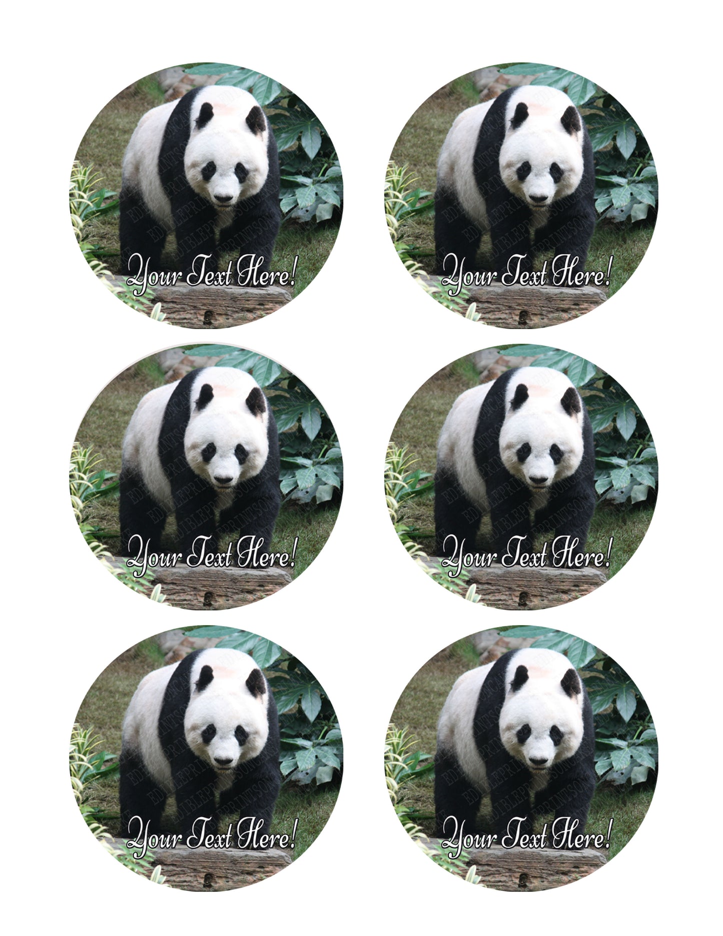 Beautiful Panda Bear - Edible Cake Topper, Cupcake Toppers, Strips