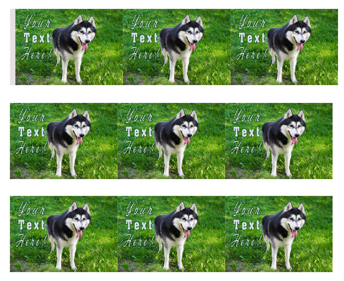 Husky Portrait - Edible Cake Topper, Cupcake Toppers, Strips