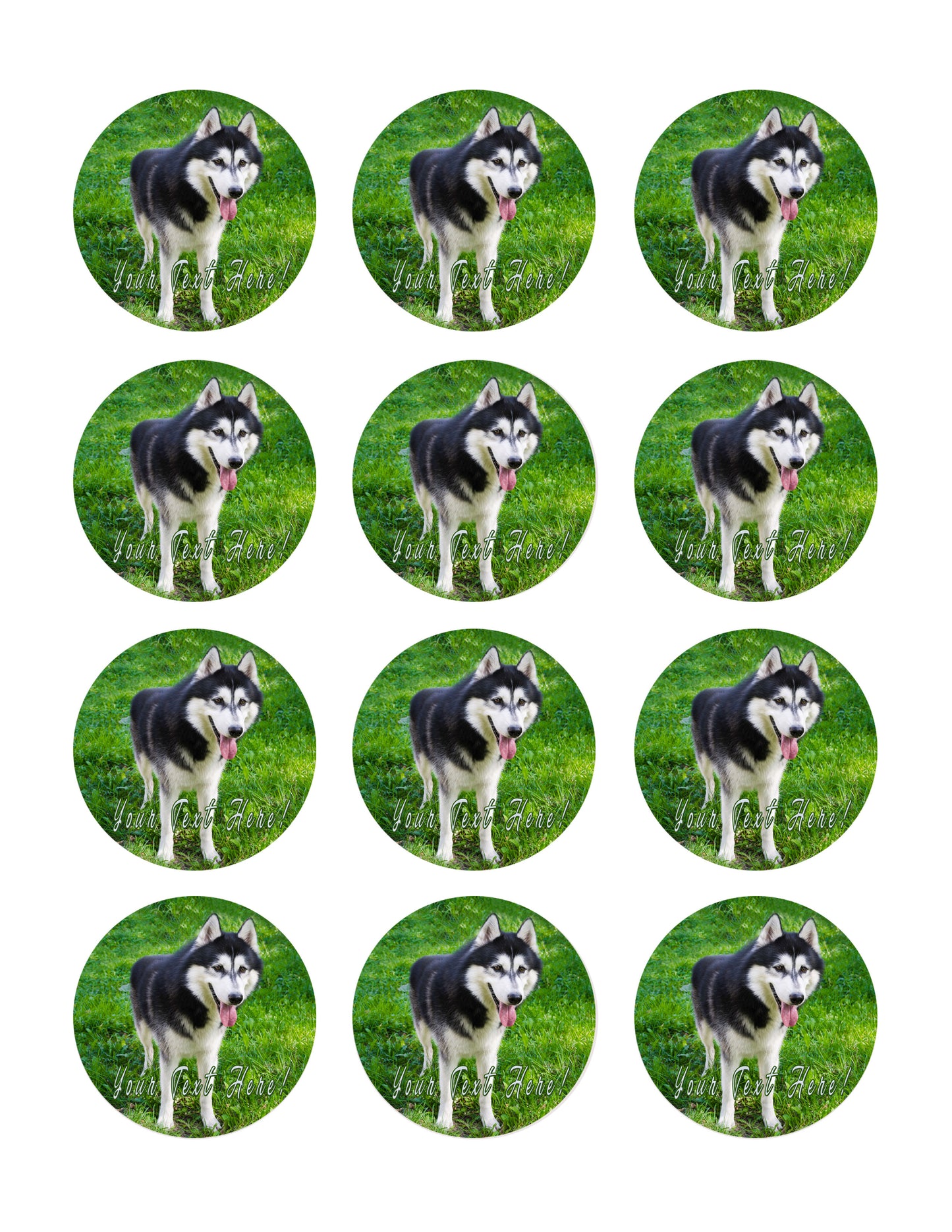 Husky Portrait - Edible Cake Topper, Cupcake Toppers, Strips