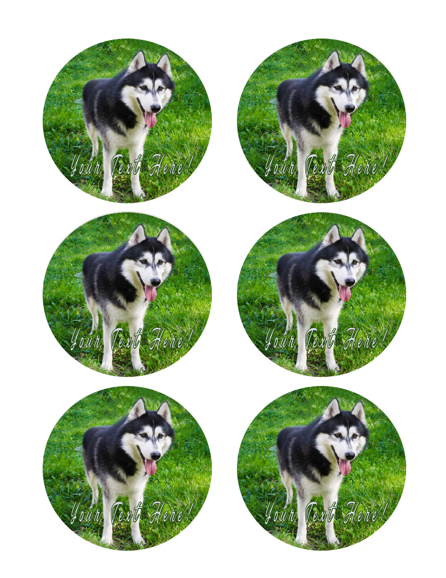 Husky Portrait - Edible Cake Topper, Cupcake Toppers, Strips