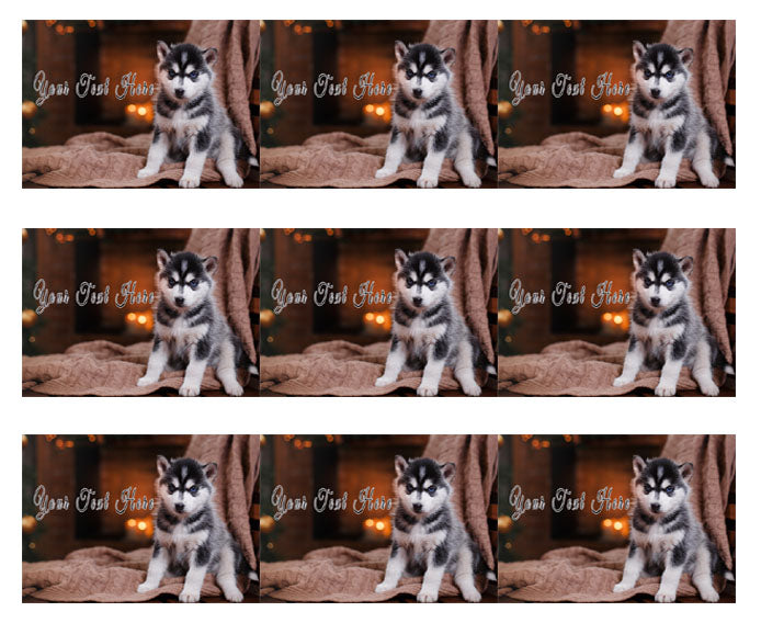 Husky Puppy - Edible Cake Topper, Cupcake Toppers, Strips