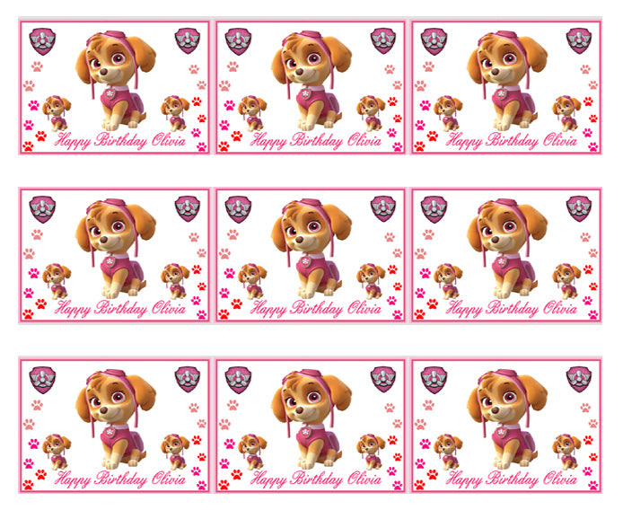 PAW PATROL SKYE (Nr2) - Edible Birthday Cake Topper OR Cupcake Topper, Decor