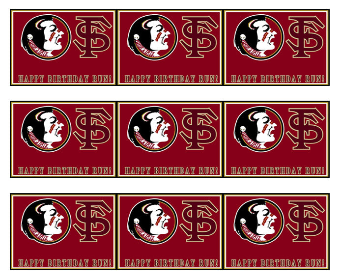 Florida State Seminoles - Edible Cake Topper OR Cupcake Topper, Decor